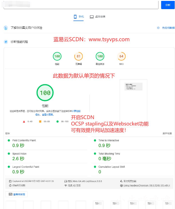 网站打开测速结果